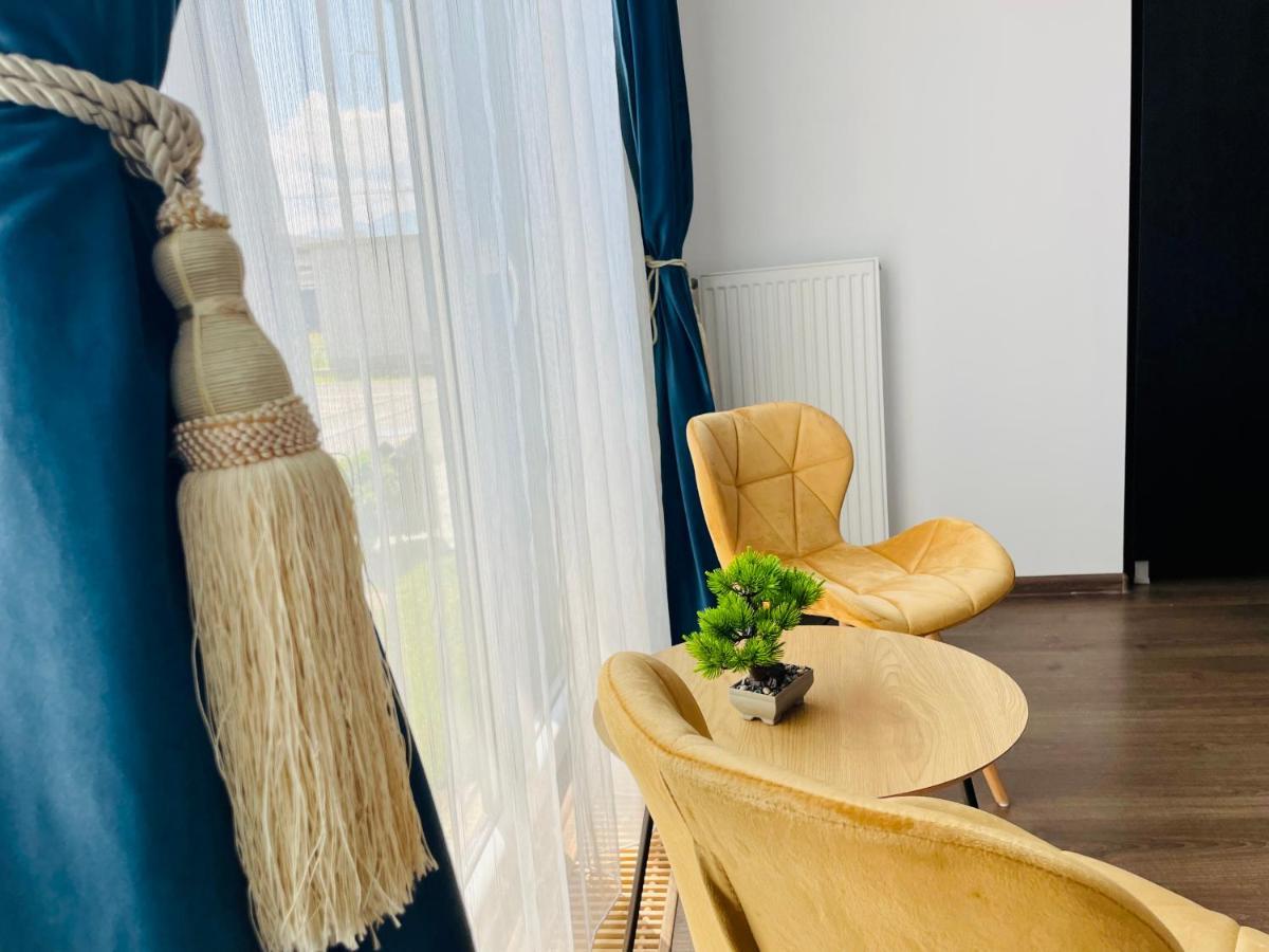 Aventurescu Studio Brasov Coresi Dış mekan fotoğraf