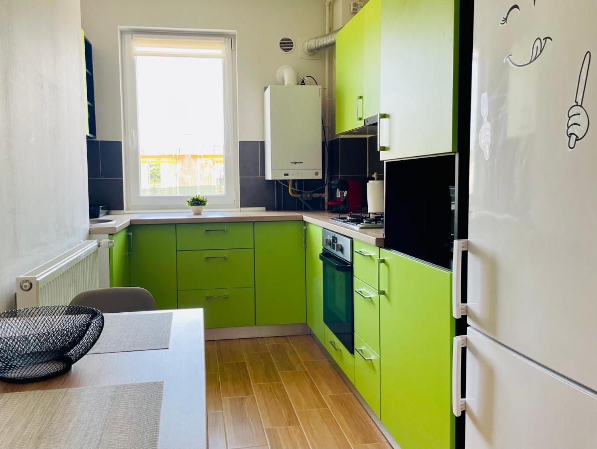 Aventurescu Studio Brasov Coresi Dış mekan fotoğraf